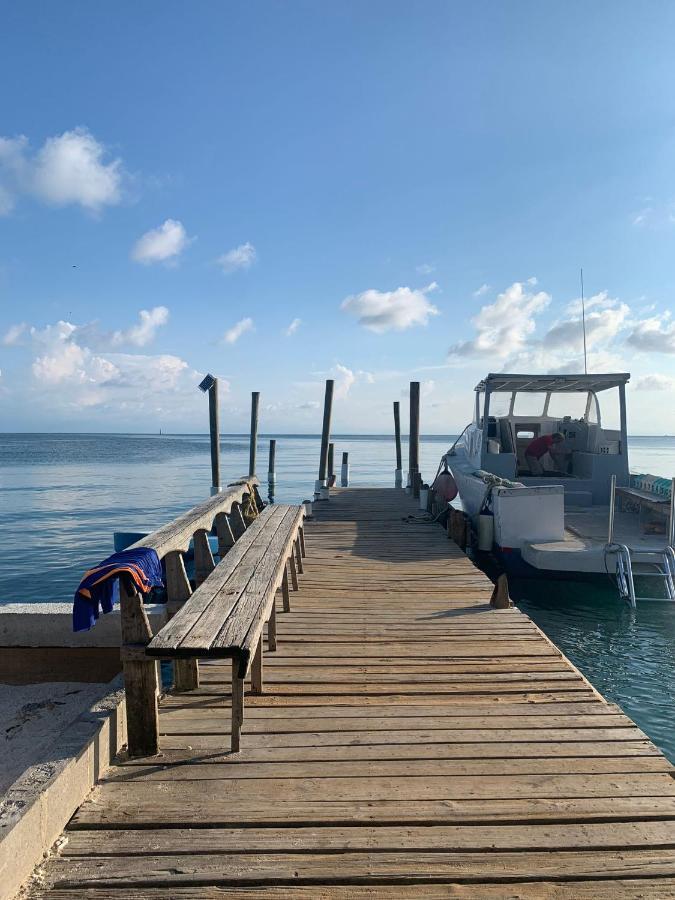 Paradise Divers Hotel Utila Exteriör bild